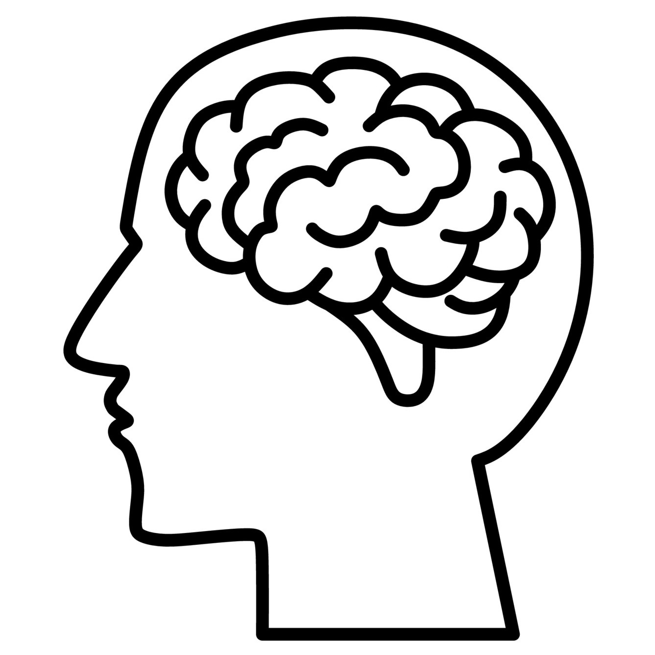 Brain