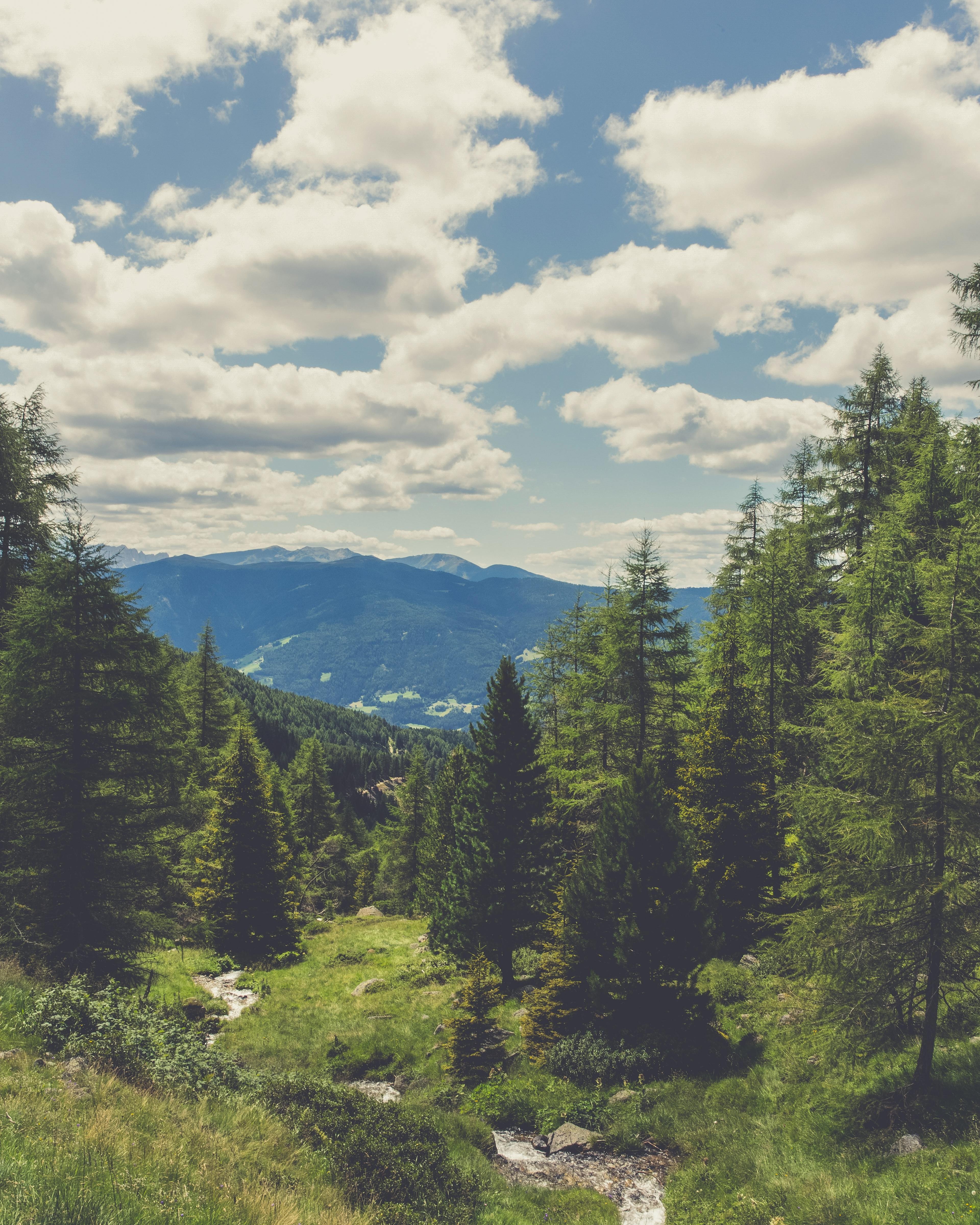 Nature